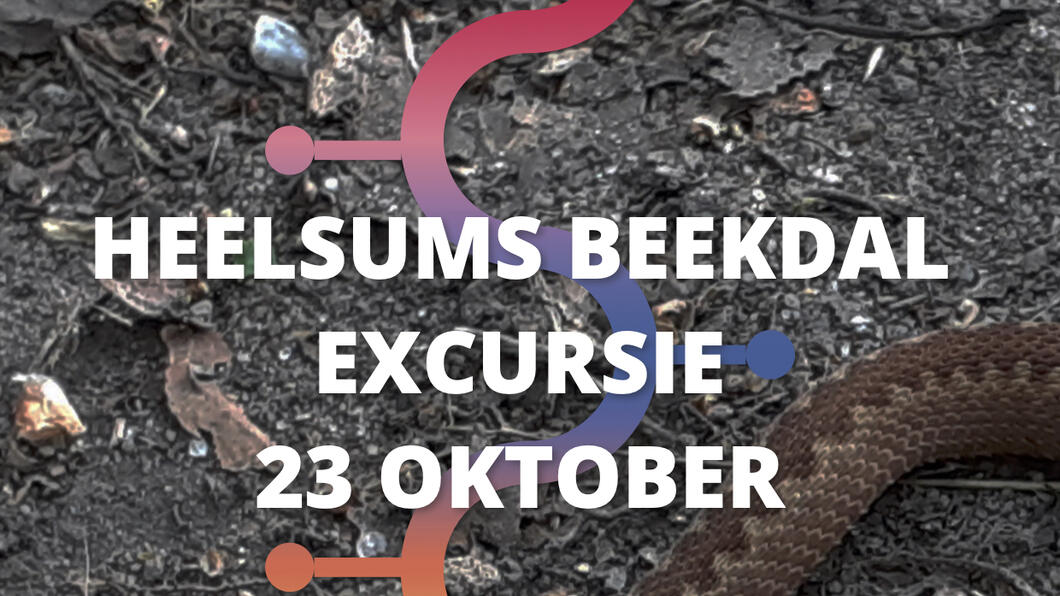Afbeelding van een slang met de tekst Heelsums Beekdal excursie 23 oktober