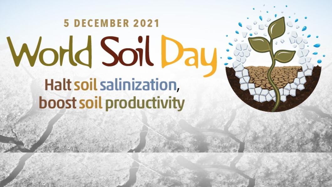 UN FAO World Soil Day banner GL