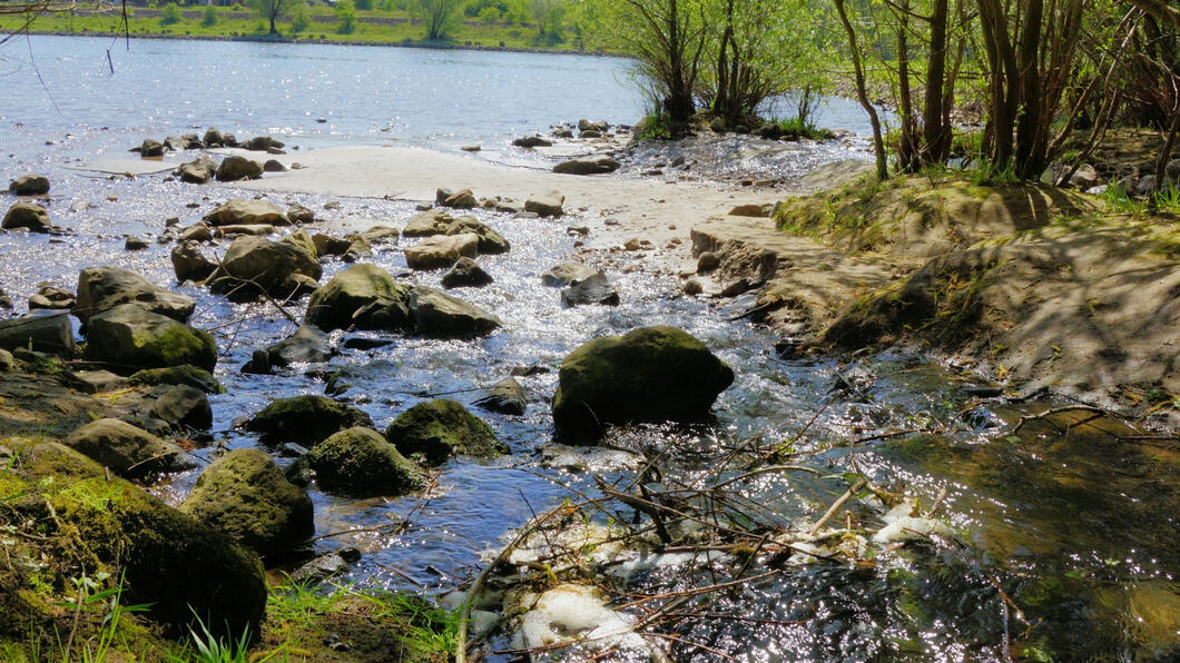 Monding van de Heelsumse beek in de Rijn