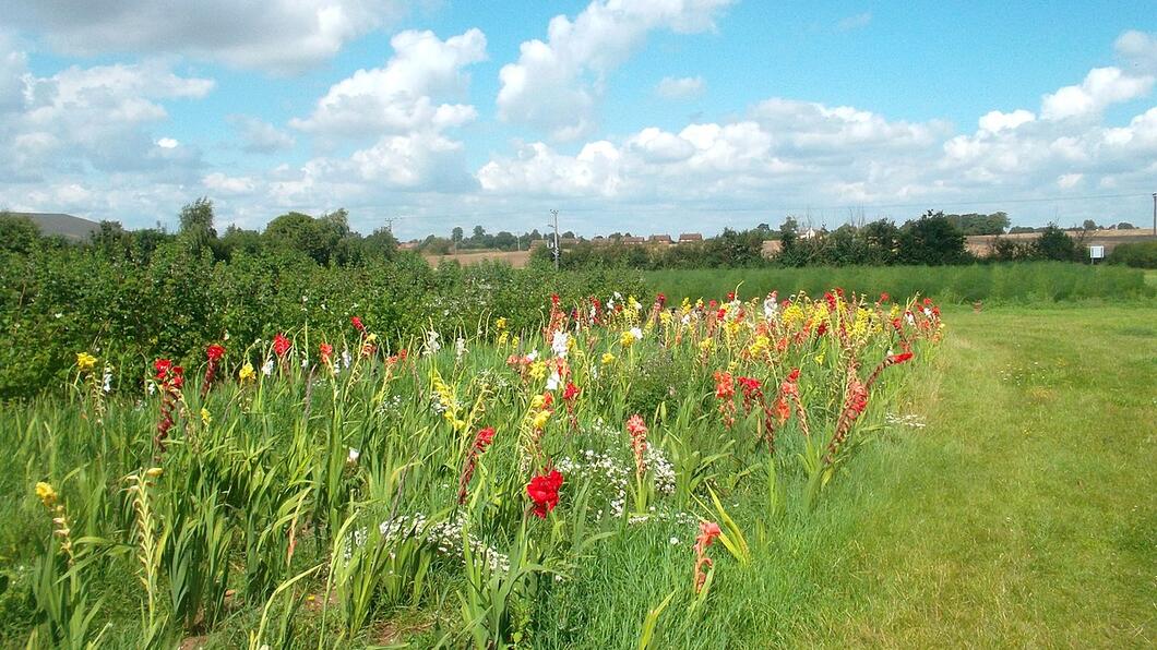 natuurinclusieve landbouw