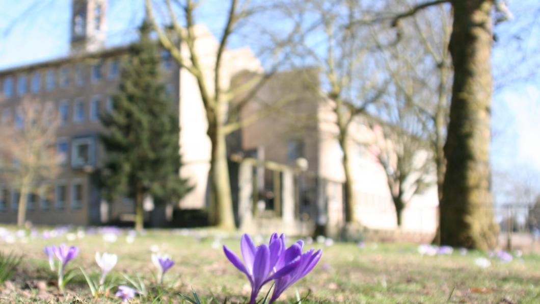 gemeentehuis renkum.JPG
