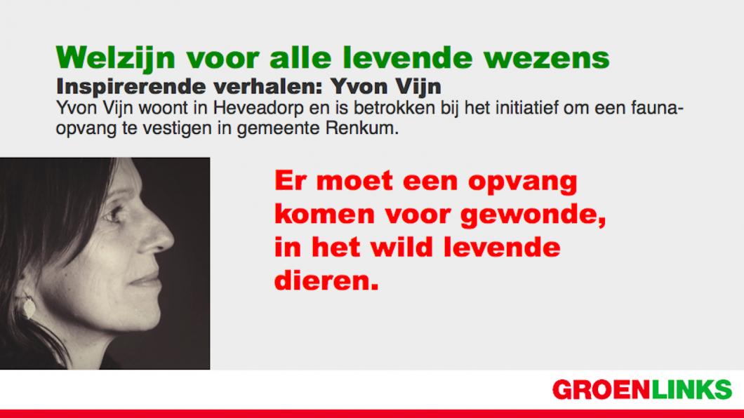 storyheader yvon vijn.jpg
