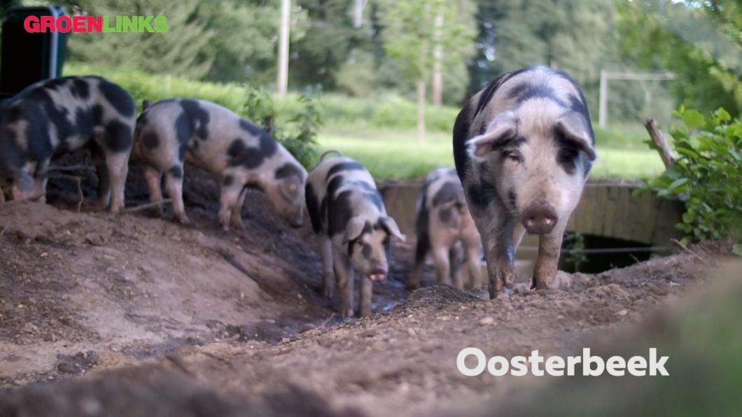 Beeld-09-01-2018-22-20-30.jpg