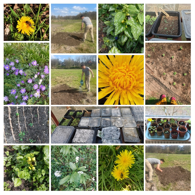 Collage van bloemen, jonge plantjes, iemand die een veld schoffelt en water geeft
