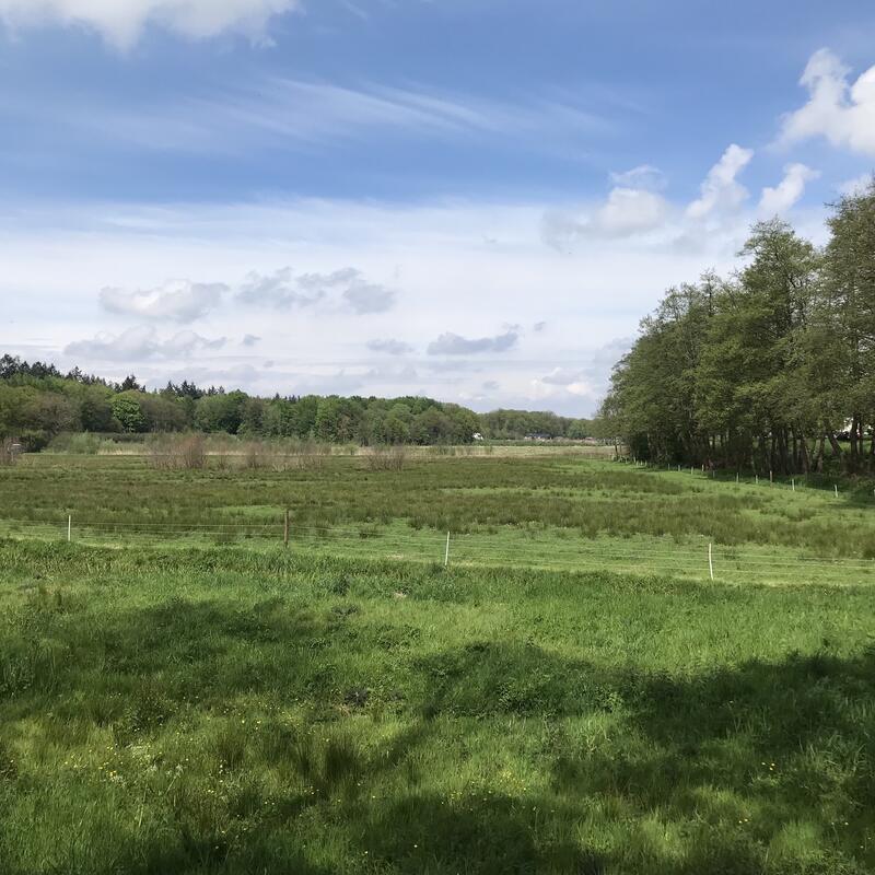 Het Renkums Beekdal vanuit het Zuiden bezien