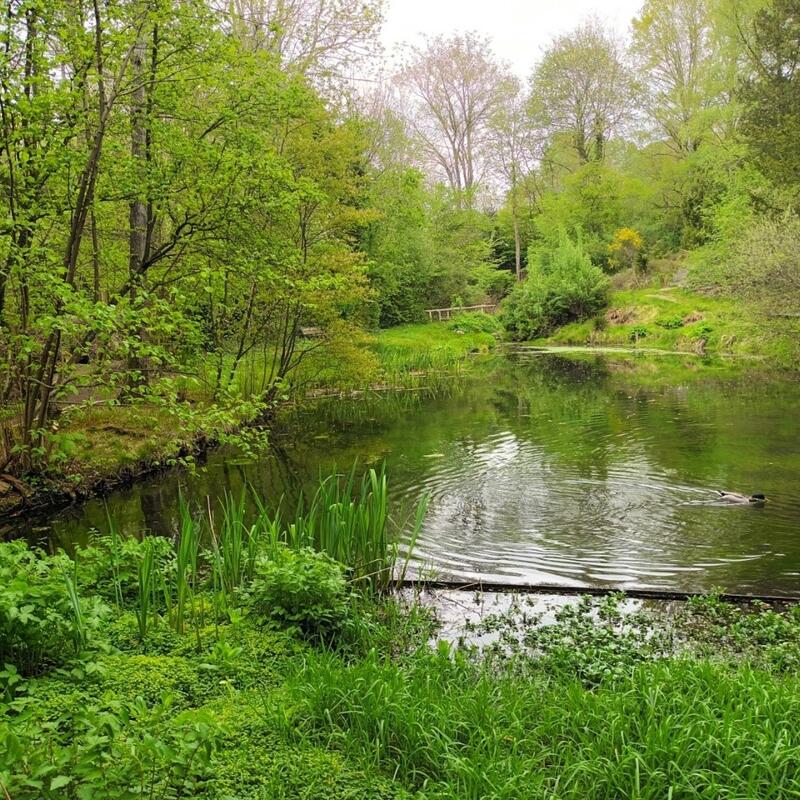 Oosterbeek groen