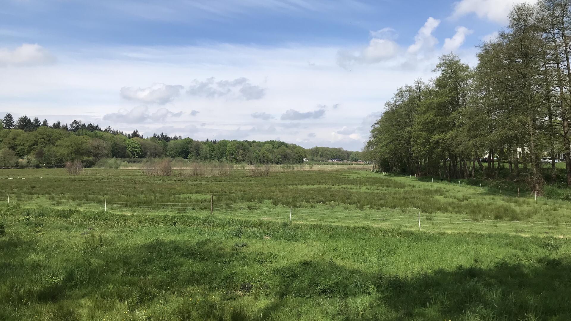 Het Renkums Beekdal vanuit het Zuiden bezien