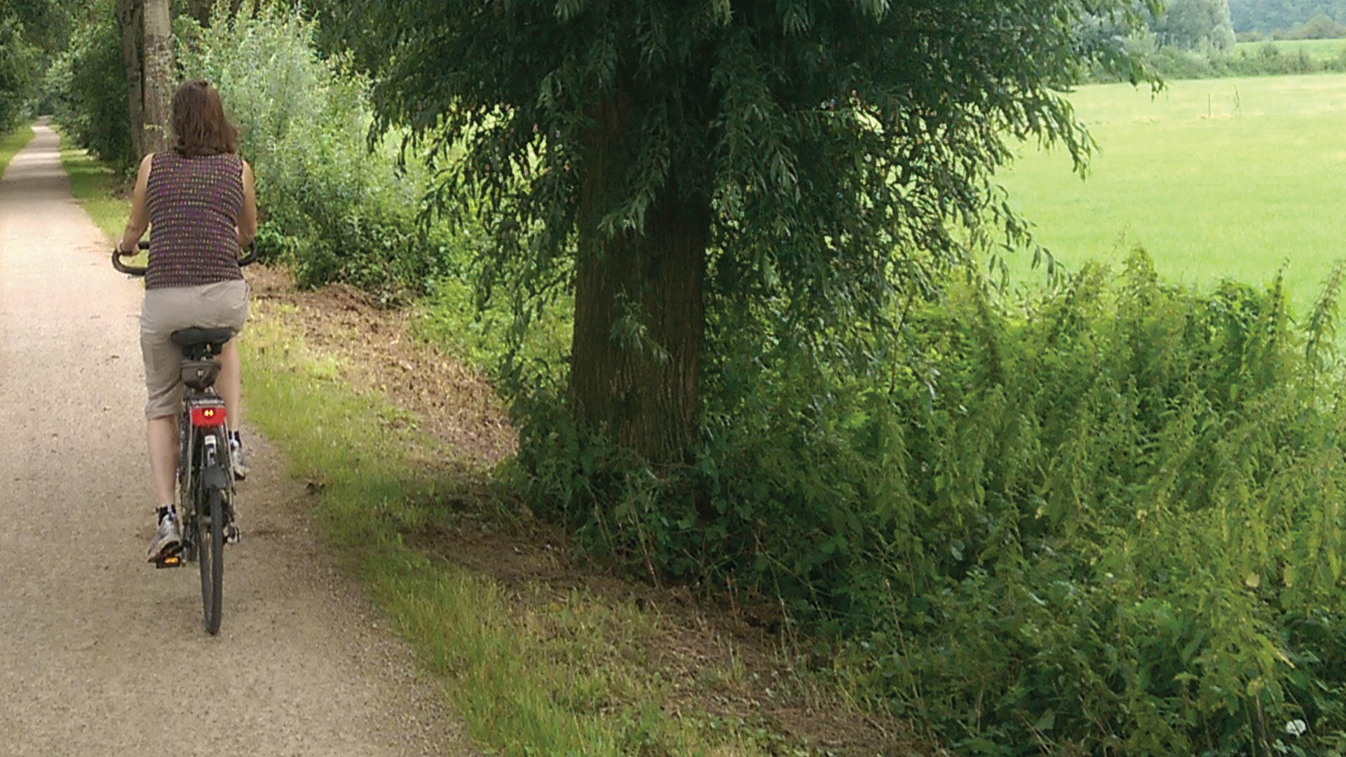 Fietsend door de uiterwaarden