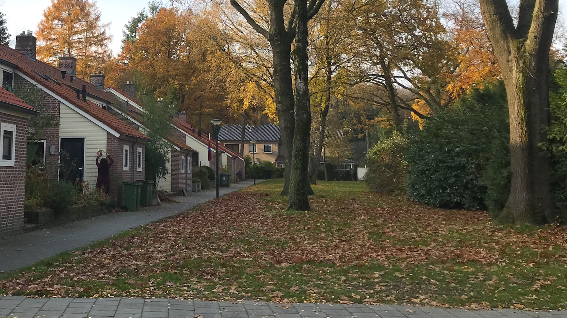 Rij woningen in herfstige omgeving