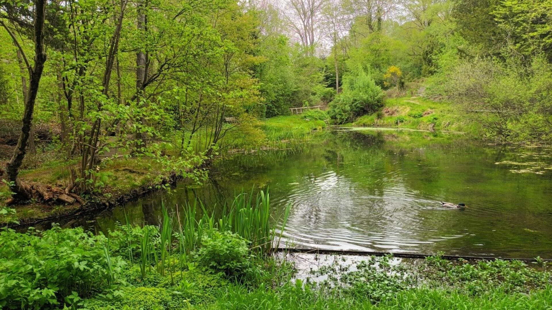 Groen Oosterbeek