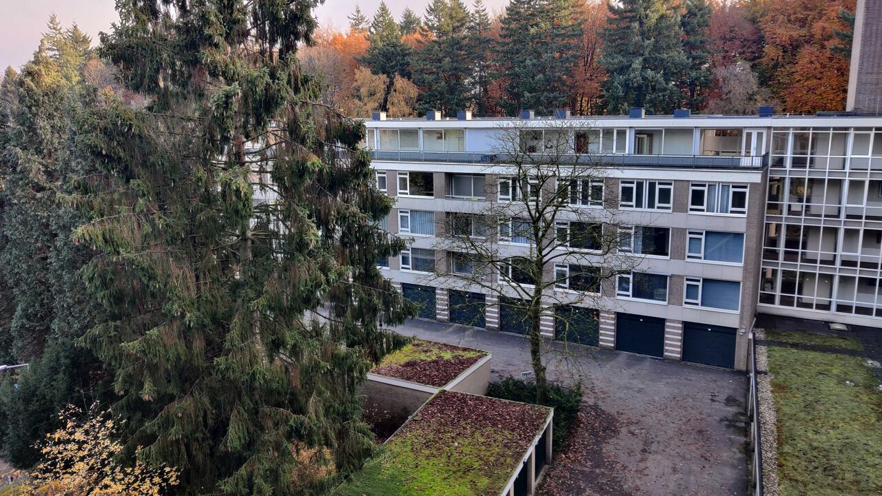 Leegstand in oosterbeek